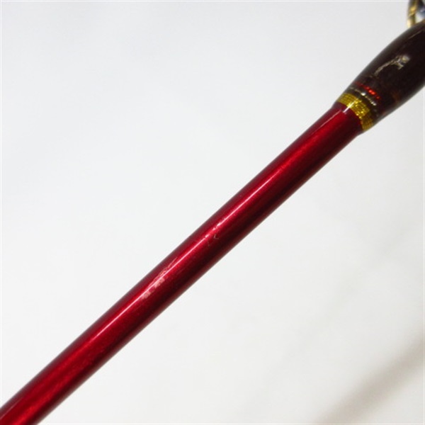 １６アルシエラ マダイ４０－２５０
